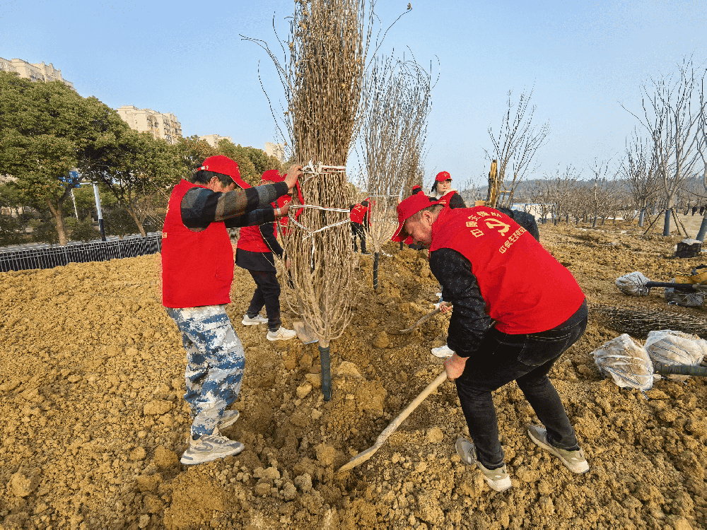 中奥生态环境股份有限公司党支部组织植树活动