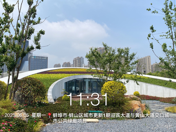 城市公共绿廊项目