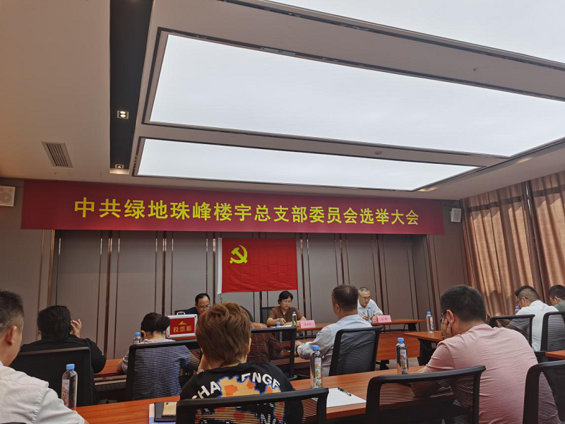 参加绿地珠峰楼宇总支部委员选举大会